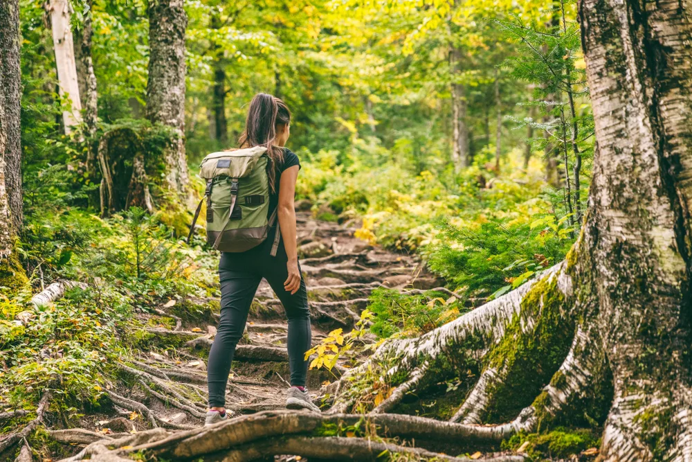 solo trekking in india