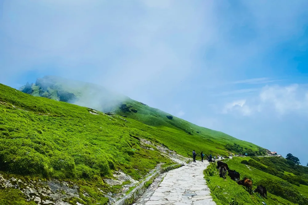 chopta uttarakhand gateway